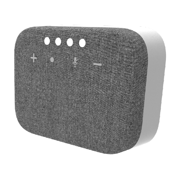 Google Speaker